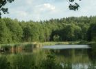 Łoźnik 